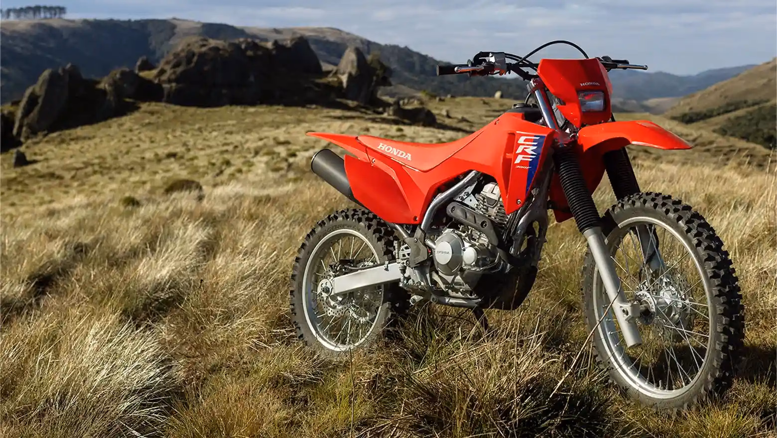 CRF300F - galeria 2 - 2 de 4