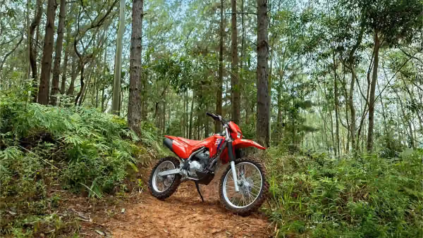 CRF300F - galeria 