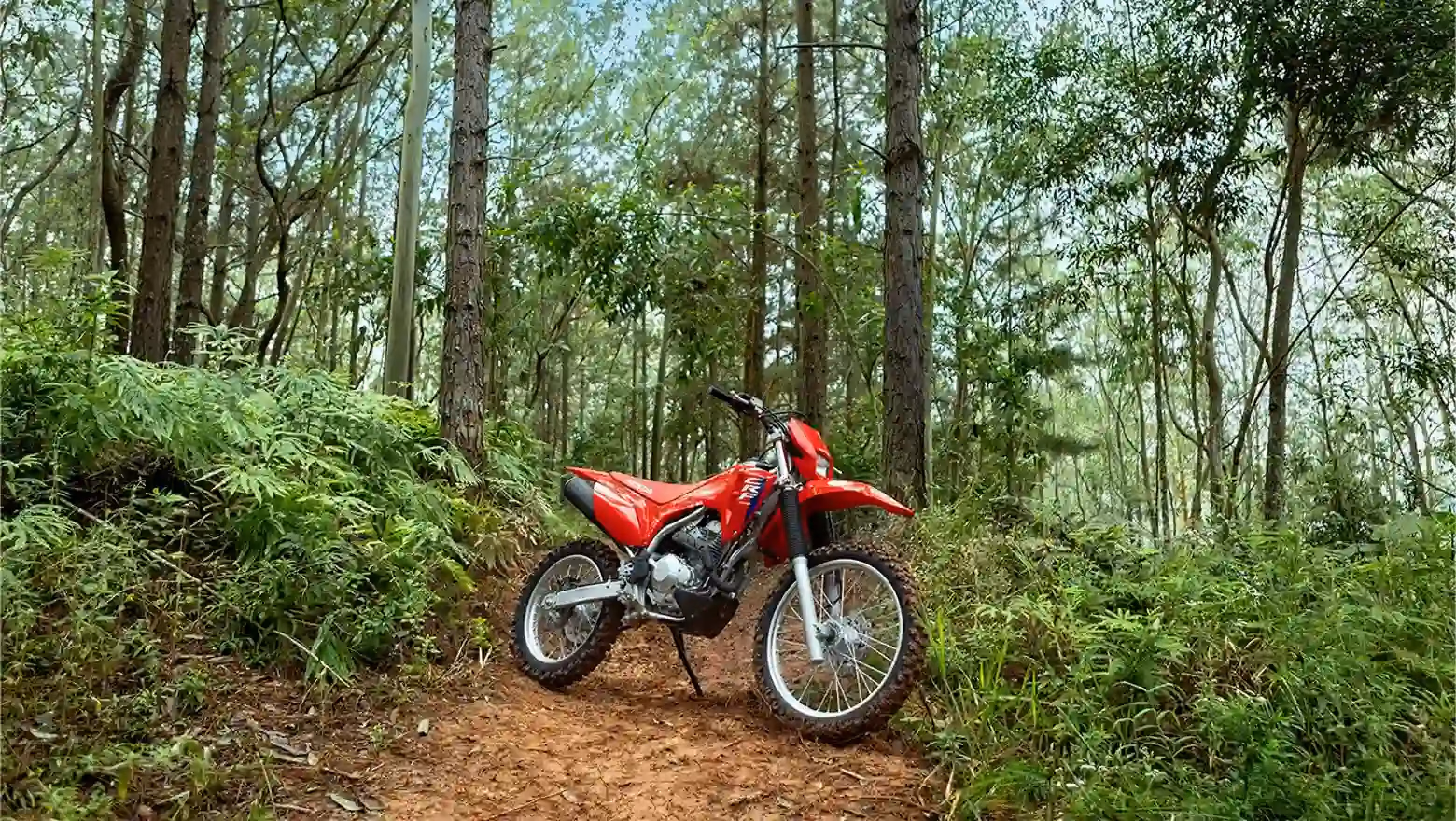 CRF300F - galeria  - 4 de 4